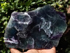 Polished Watermelon Fluorite Slices x 2 From Uis, Namibia - Toprock Gemstones and Minerals 