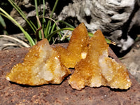 Natural Golden Solar Spirit Quartz Clusters x 35 From Boekenhouthoek, South Africa - Toprock Gemstones and Minerals 