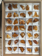 Natural Golden Solar Spirit Quartz Clusters x 35 From Boekenhouthoek, South Africa - Toprock Gemstones and Minerals 