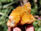 Natural Golden Solar Spirit Quartz Clusters x 35 From Boekenhouthoek, South Africa - Toprock Gemstones and Minerals 