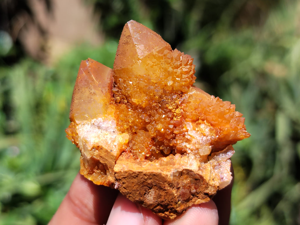 Natural Golden Solar Spirit Quartz Clusters x 35 From Boekenhouthoek, South Africa - Toprock Gemstones and Minerals 