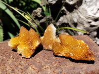 Natural Golden Solar Spirit Quartz Clusters x 35 From Boekenhouthoek, South Africa - Toprock Gemstones and Minerals 