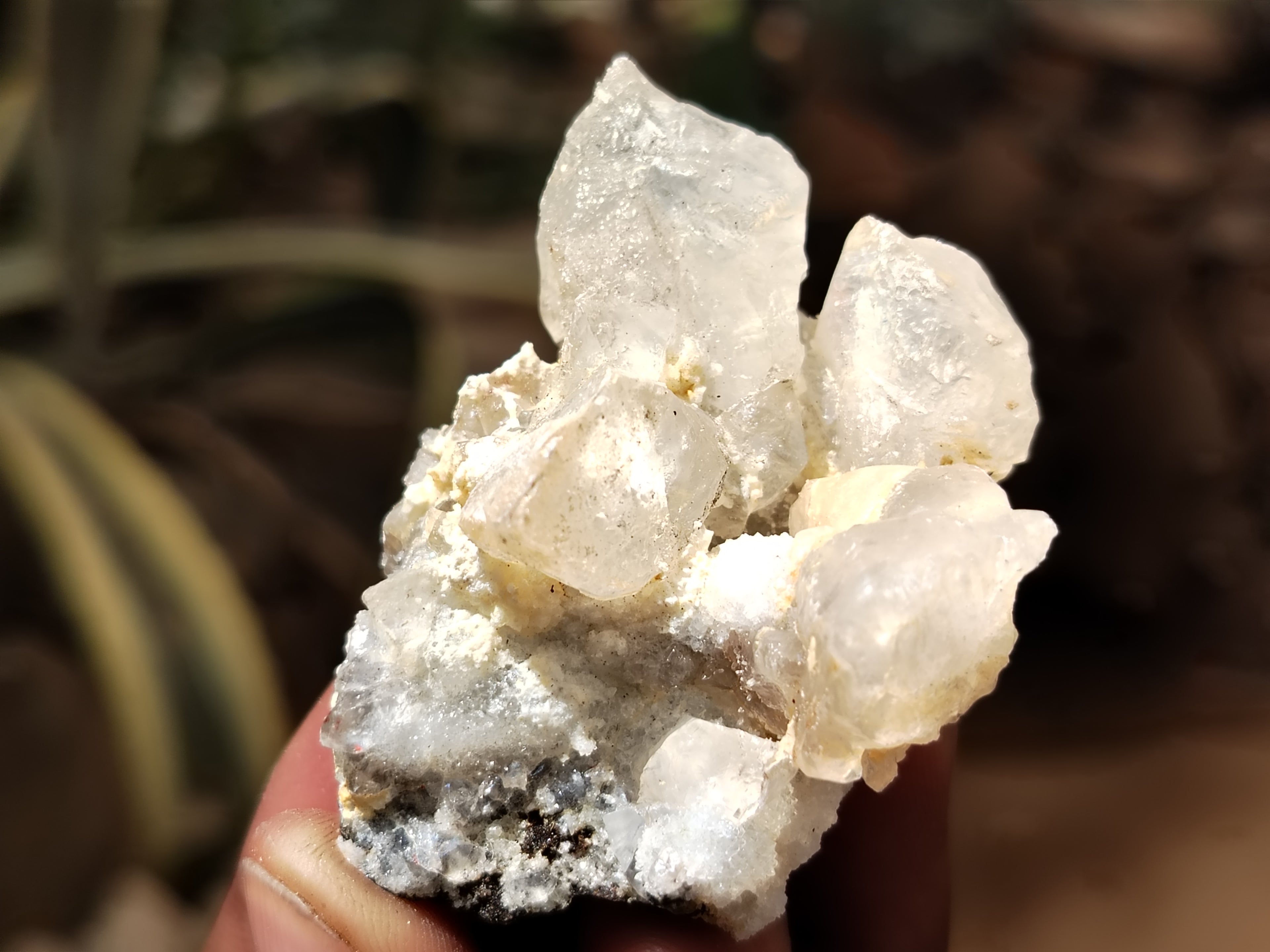 Natural Drusy Quartz Coated Calcite Pseudomorph Specimens x 20 From Lesotho - Toprock Gemstones and Minerals 