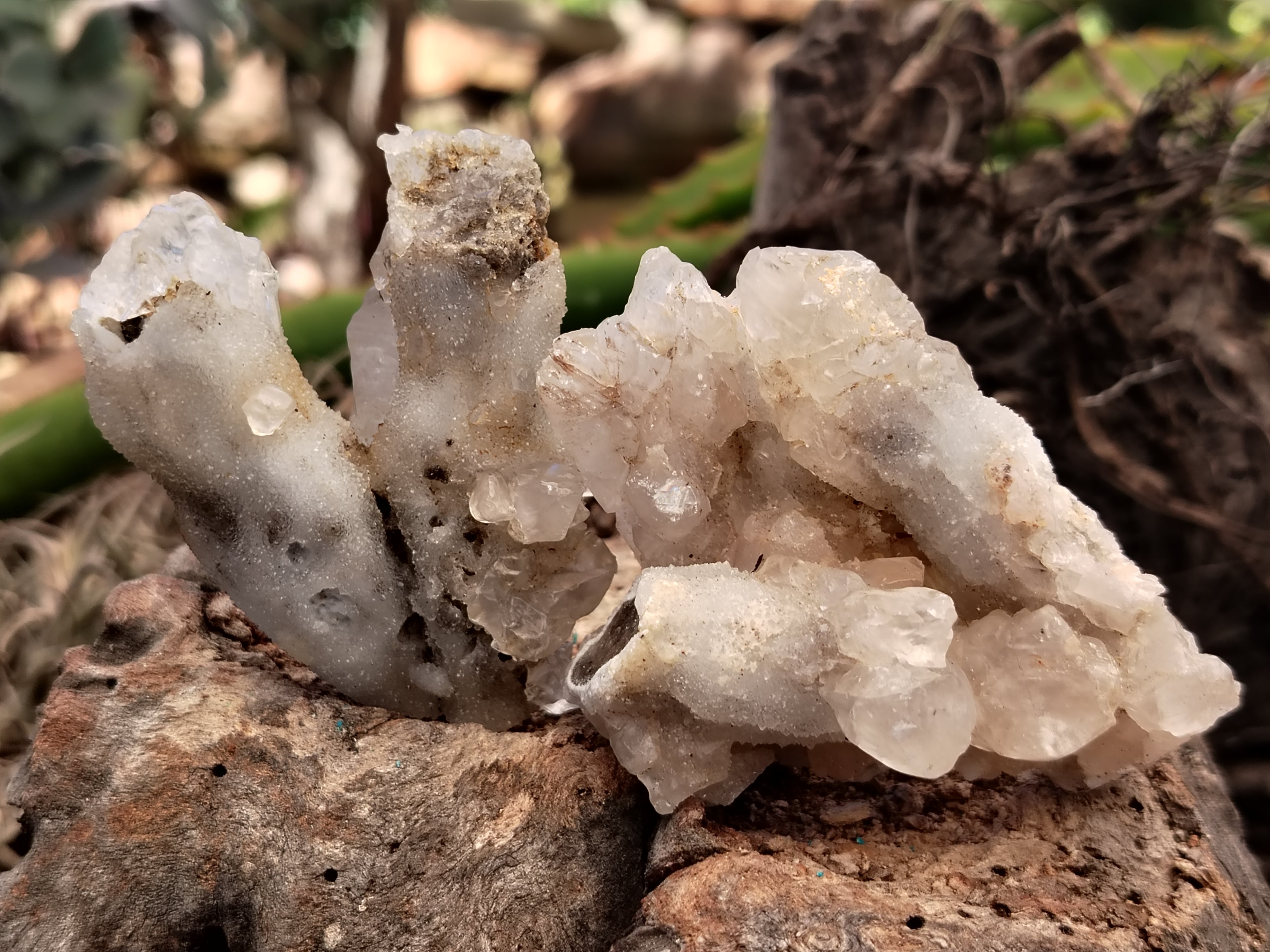 Natural Drusy Quartz Coated Calcite Pseudomorph Specimens x 20 From Lesotho - Toprock Gemstones and Minerals 