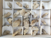 Natural Drusy Quartz Coated Calcite Pseudomorph Specimens x 20 From Lesotho - Toprock Gemstones and Minerals 