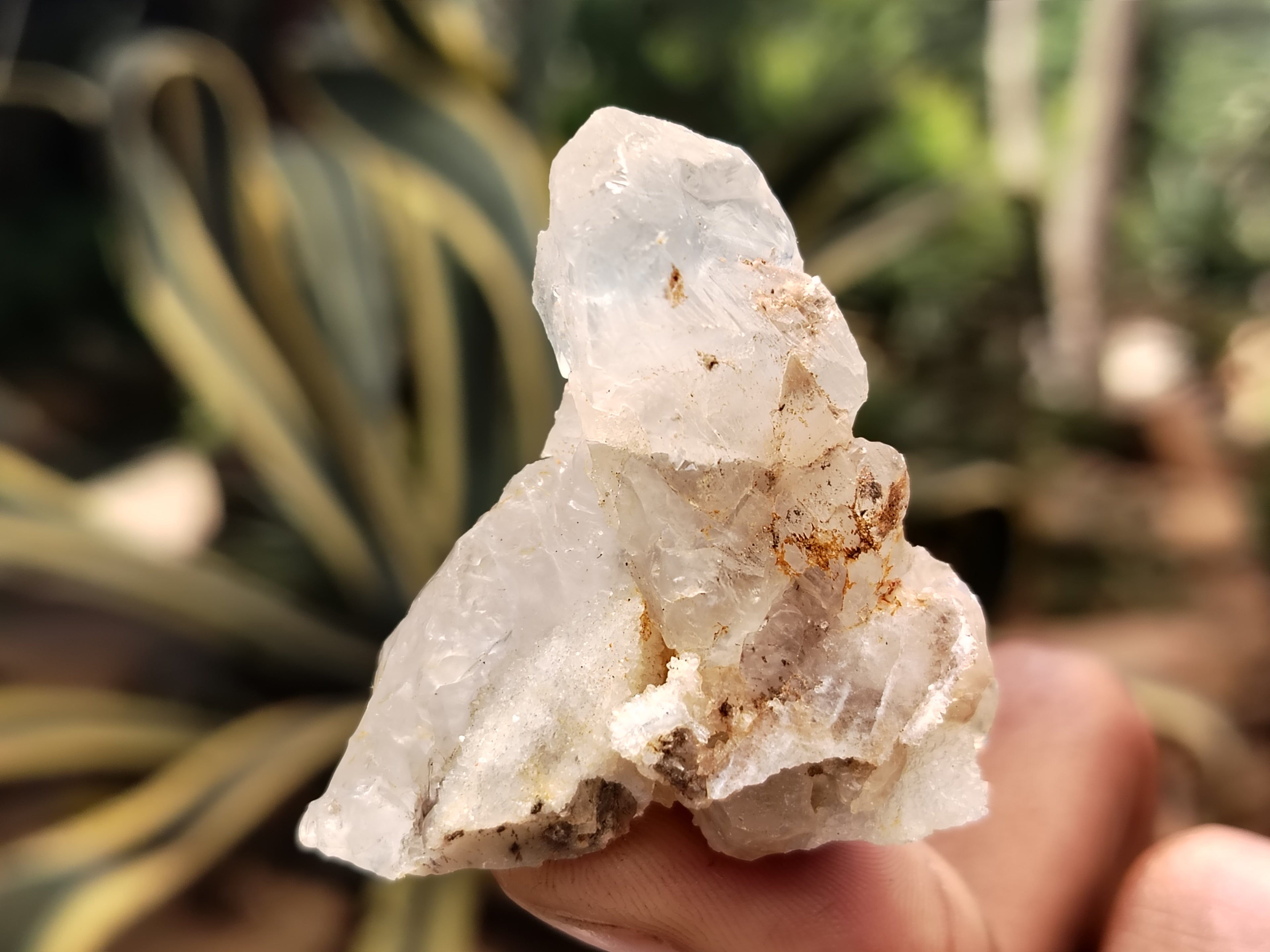 Natural Drusy Quartz Coated Calcite Pseudomorph Specimens x 20 From Lesotho - Toprock Gemstones and Minerals 