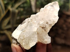 Natural Drusy Quartz Coated Calcite Pseudomorph Specimens x 20 From Lesotho - Toprock Gemstones and Minerals 
