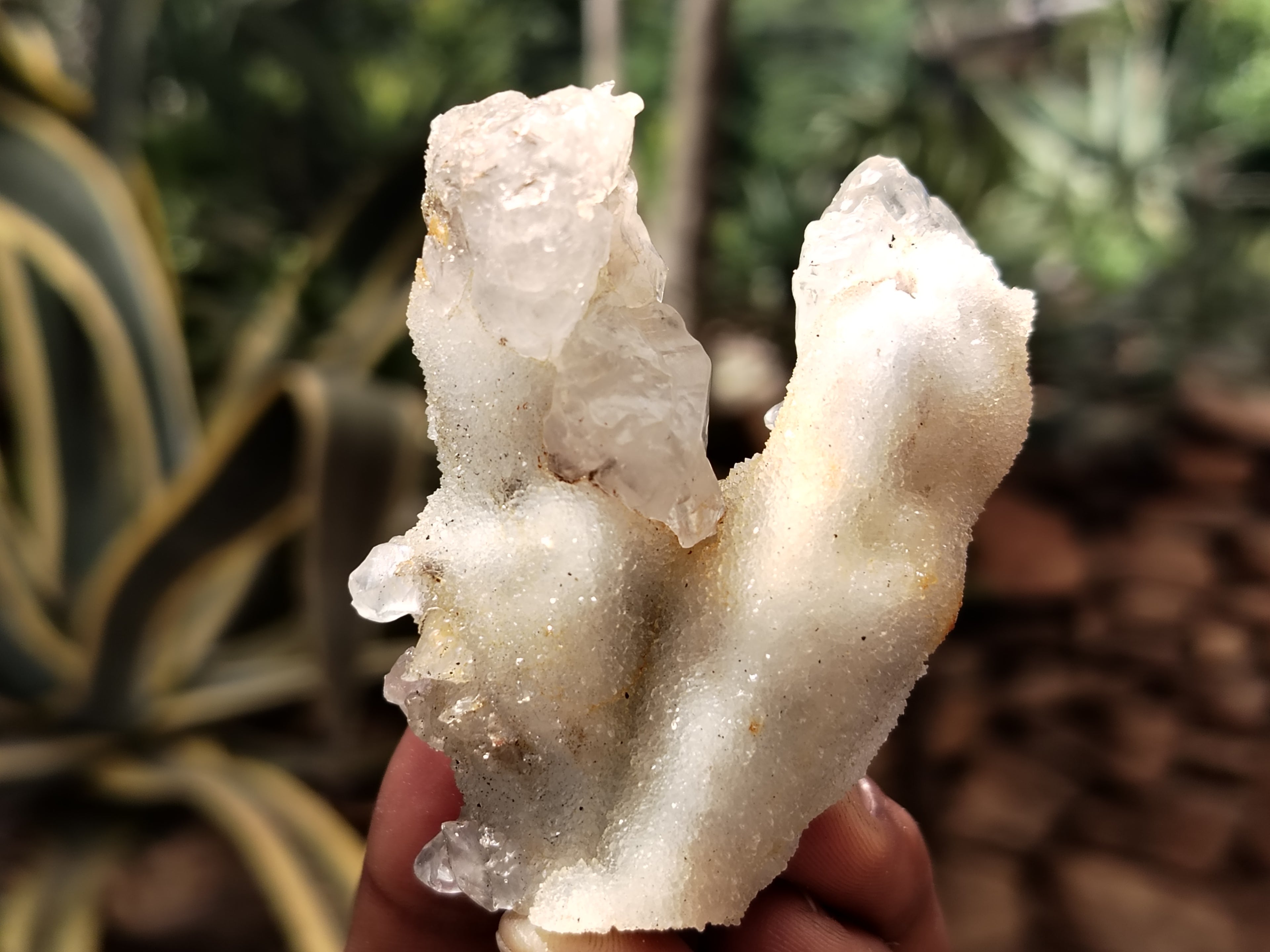 Natural Drusy Quartz Coated Calcite Pseudomorph Specimens x 20 From Lesotho - Toprock Gemstones and Minerals 