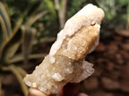 Natural Drusy Quartz Coated Calcite Pseudomorph Specimens x 20 From Lesotho - Toprock Gemstones and Minerals 