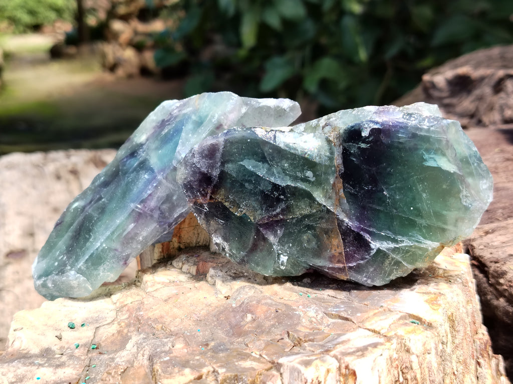 Polished On One Side Watermelon Fluorite x 10 From Uis, Namibia - Toprock Gemstones and Minerals 