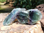 Polished On One Side Watermelon Fluorite x 10 From Uis, Namibia - Toprock Gemstones and Minerals 
