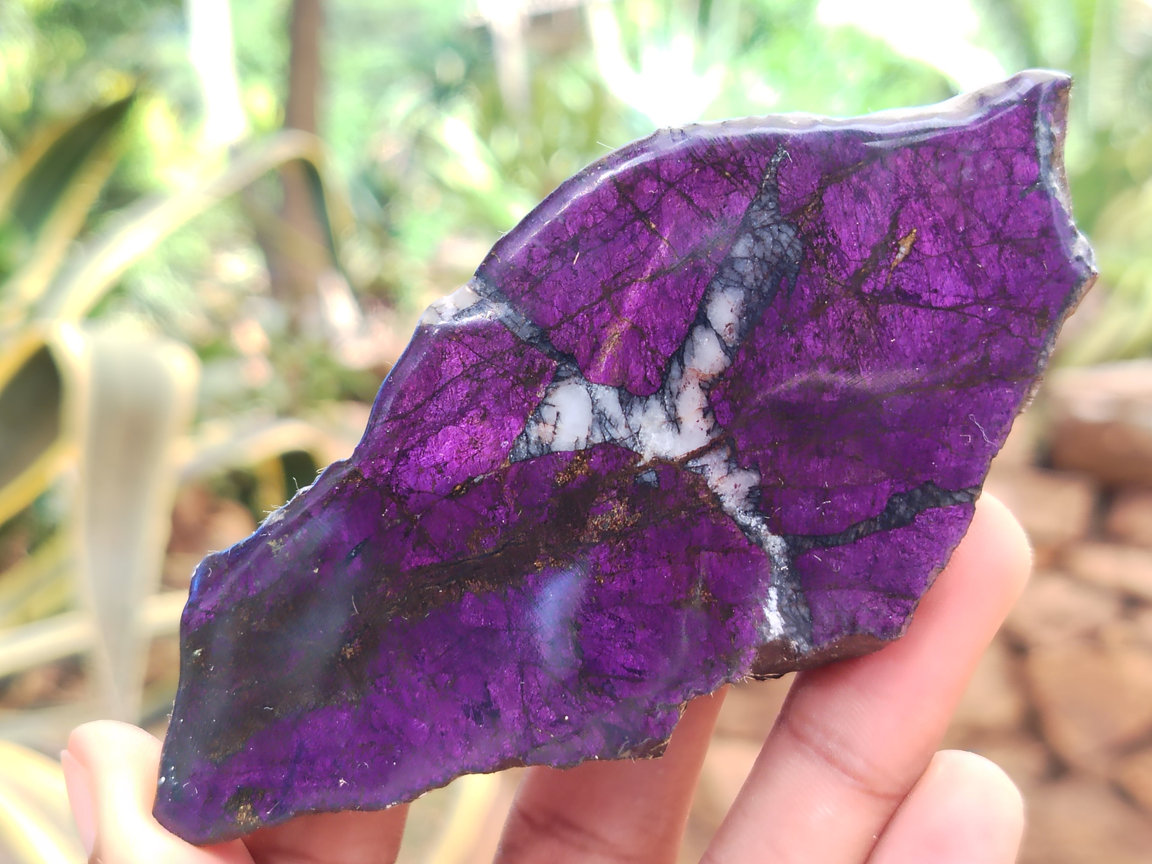Polished On One Side Purpurite x 6 From Namibia - Toprock Gemstones and Minerals 