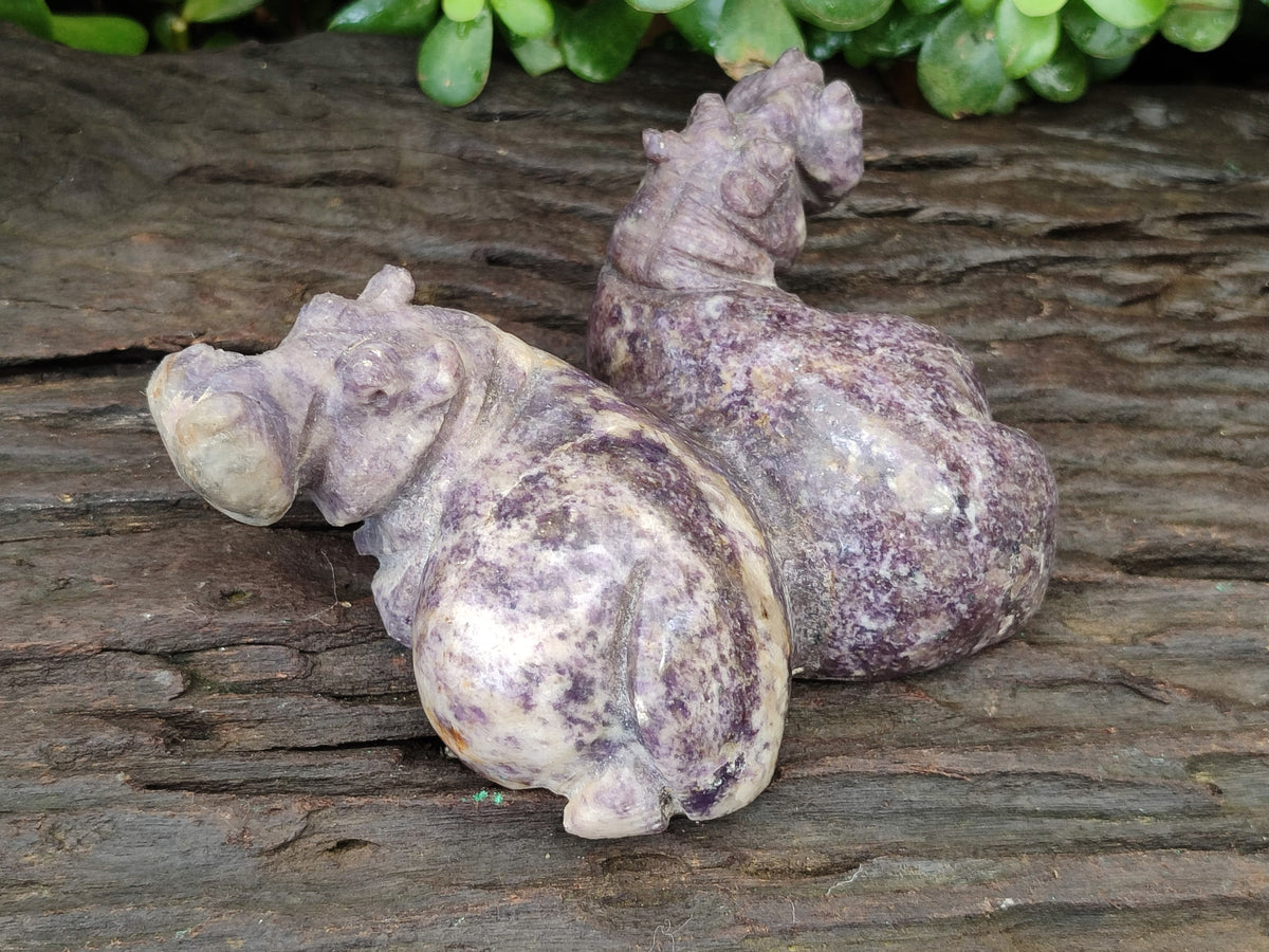 Hand Made Stone Hippo Carvings x 2 From Zimbabwe - Toprock Gemstones and Minerals 