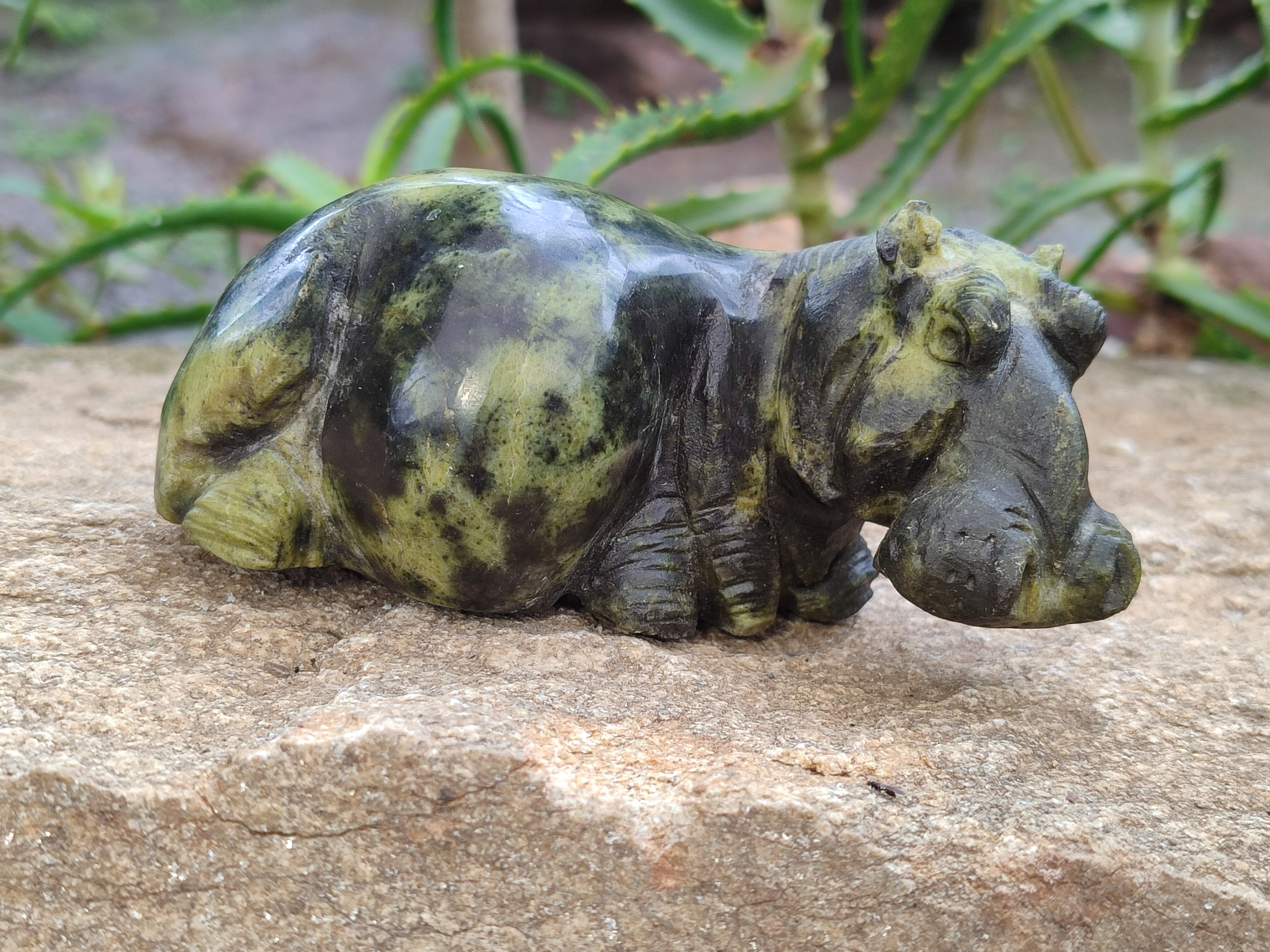 Hand Made Stone Hippo Carvings x 2 From Zimbabwe - Toprock Gemstones and Minerals 