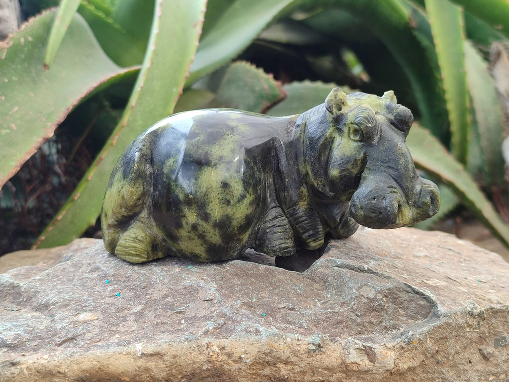Hand Made Stone Hippo Carvings x 2 From Zimbabwe - Toprock Gemstones and Minerals 