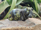 Hand Made Stone Hippo Carvings x 2 From Zimbabwe - Toprock Gemstones and Minerals 