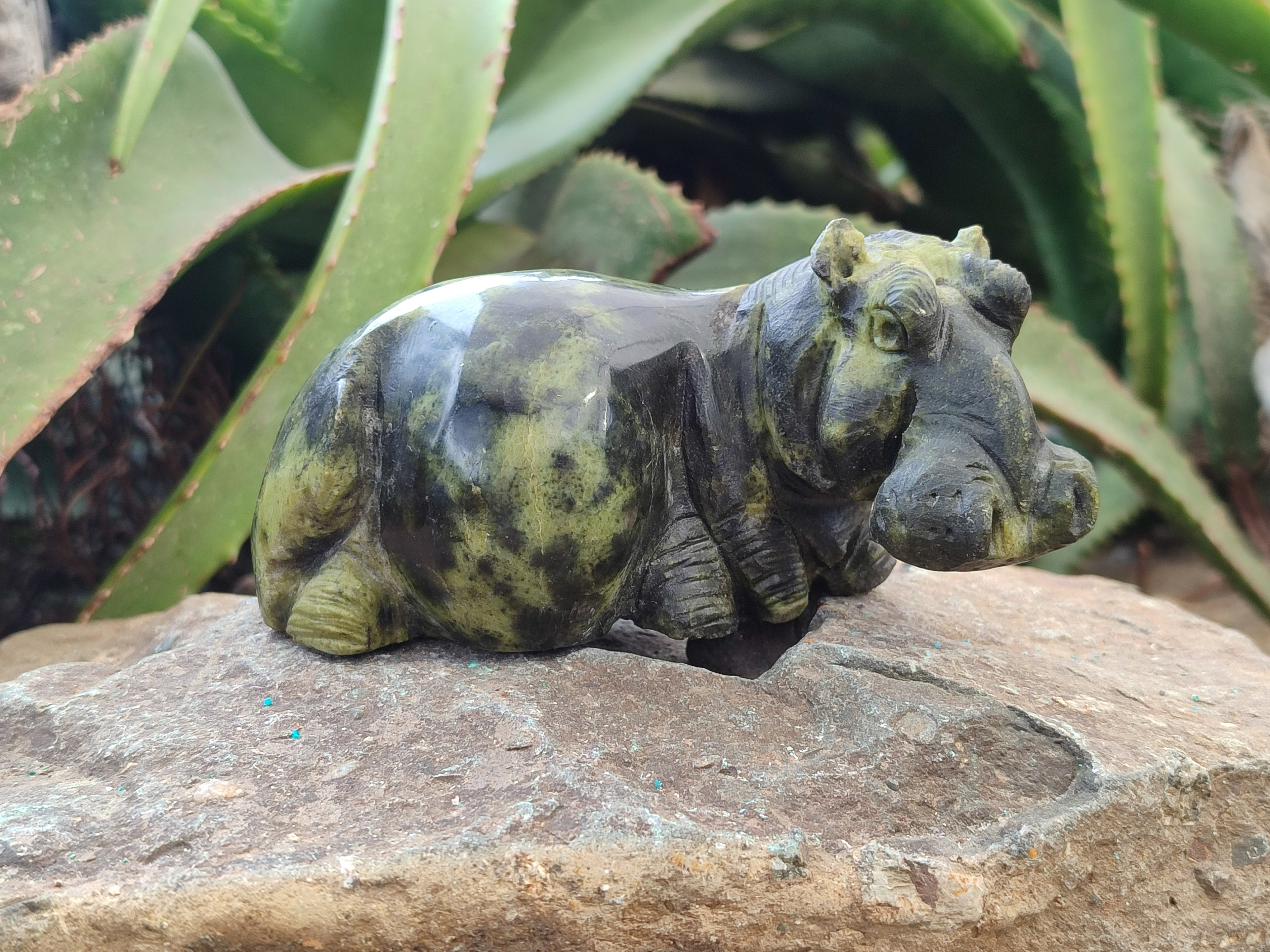 Hand Made Stone Hippo Carvings x 2 From Zimbabwe - Toprock Gemstones and Minerals 