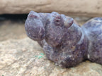 Hand Made Stone Hippo Carvings x 2 From Zimbabwe - Toprock Gemstones and Minerals 