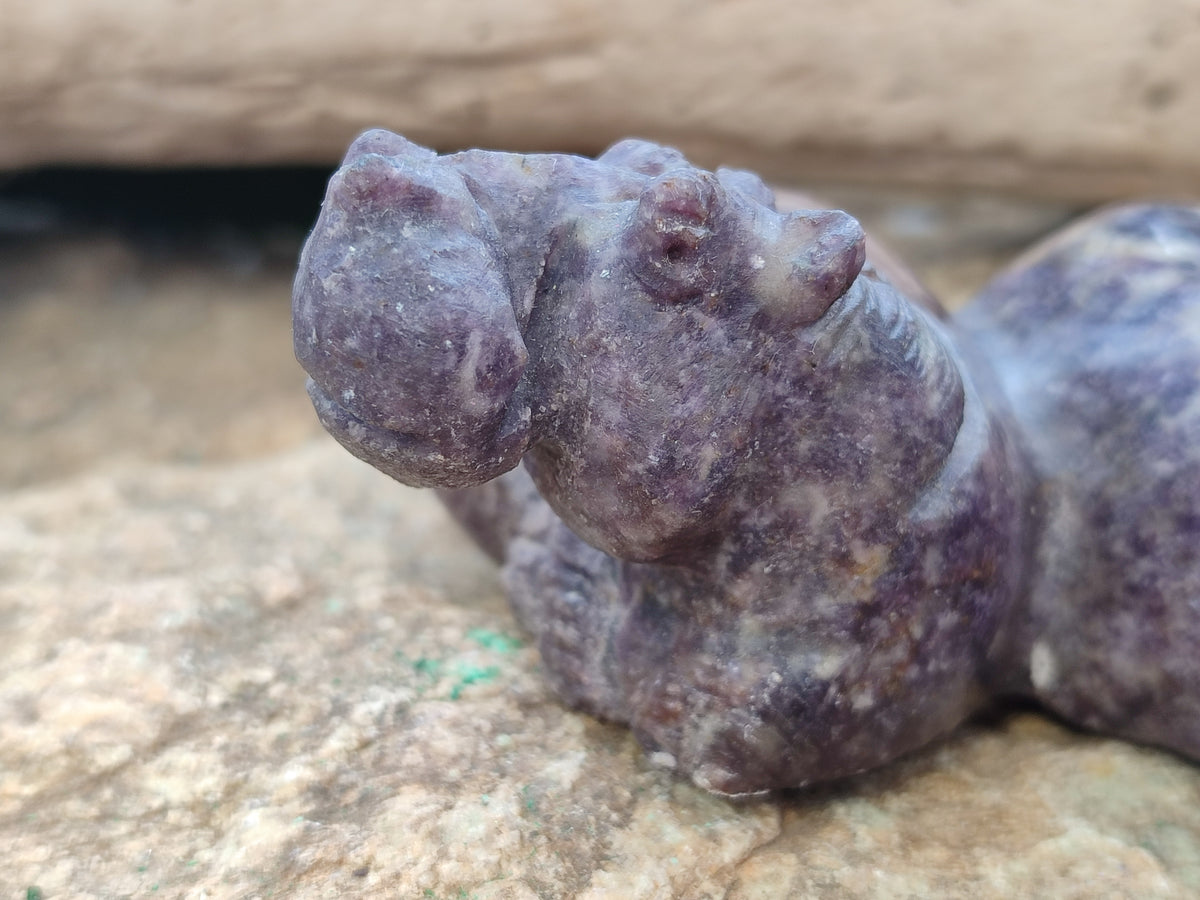 Hand Made Stone Hippo Carvings x 2 From Zimbabwe - Toprock Gemstones and Minerals 