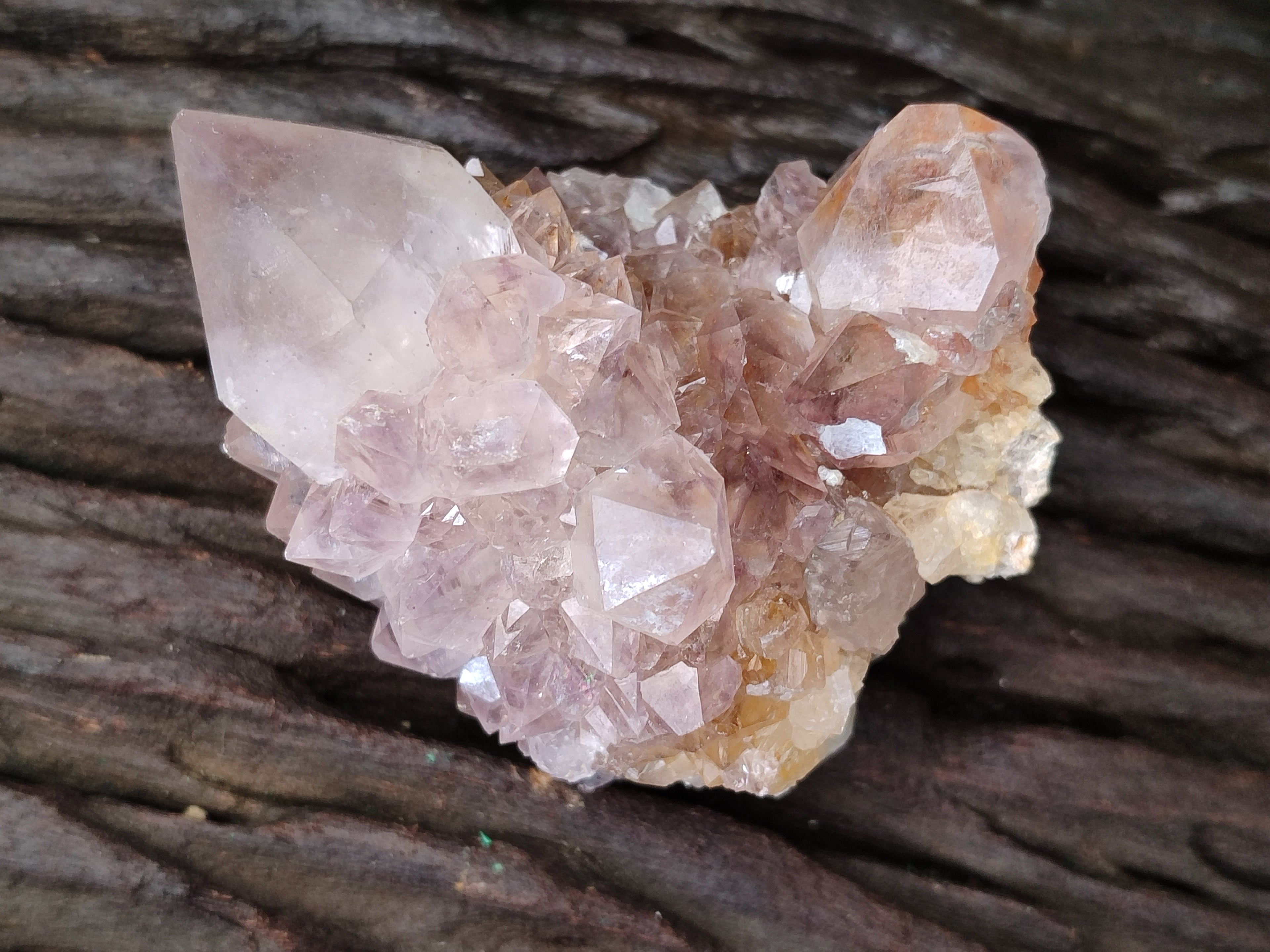 Natural Spirit Quartz Clusters x 6 From Boekenhouthoek, South Africa - Toprock Gemstones and Minerals 