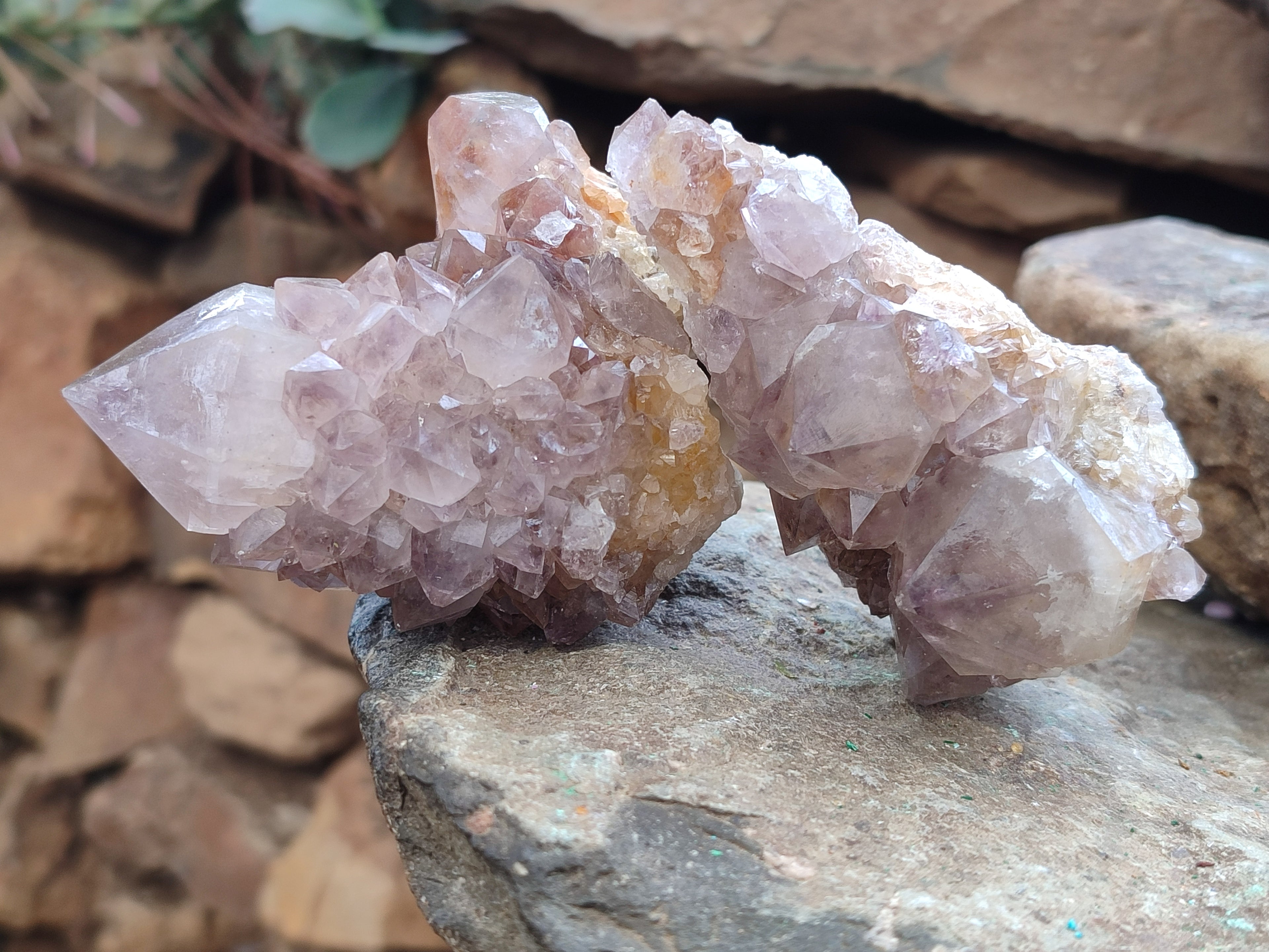 Natural Spirit Quartz Clusters x 6 From Boekenhouthoek, South Africa - Toprock Gemstones and Minerals 