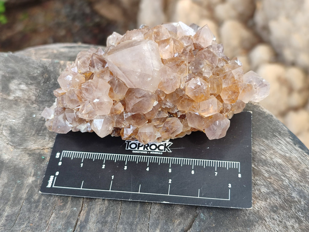 Natural Spirit Quartz Clusters x 6 From Boekenhouthoek, South Africa - Toprock Gemstones and Minerals 