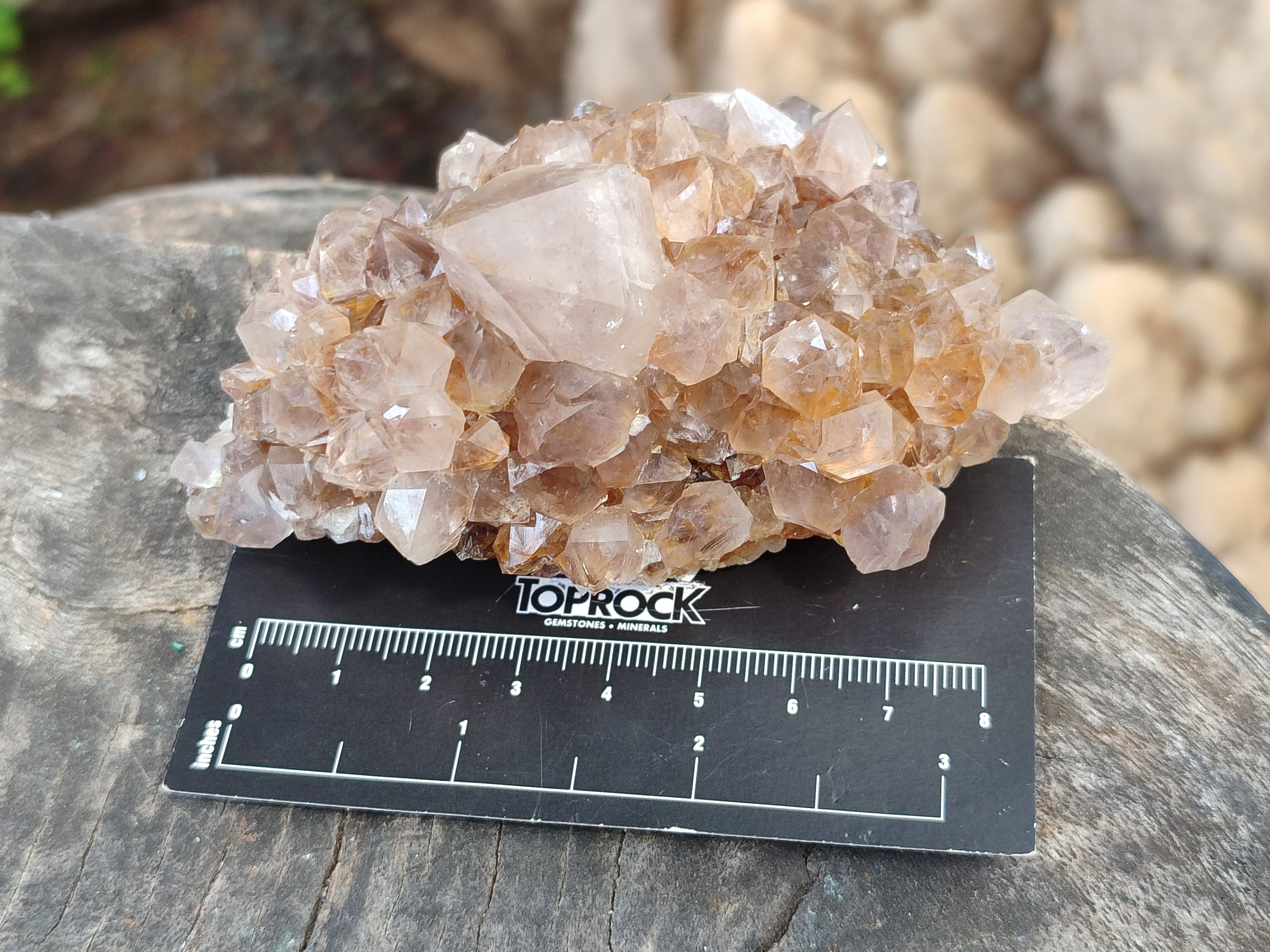 Natural Spirit Quartz Clusters x 6 From Boekenhouthoek, South Africa - Toprock Gemstones and Minerals 