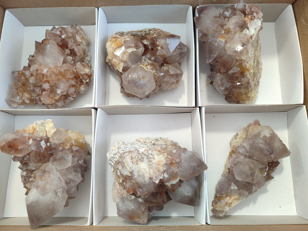 Natural Spirit Quartz Clusters x 6 From Boekenhouthoek, South Africa - Toprock Gemstones and Minerals 