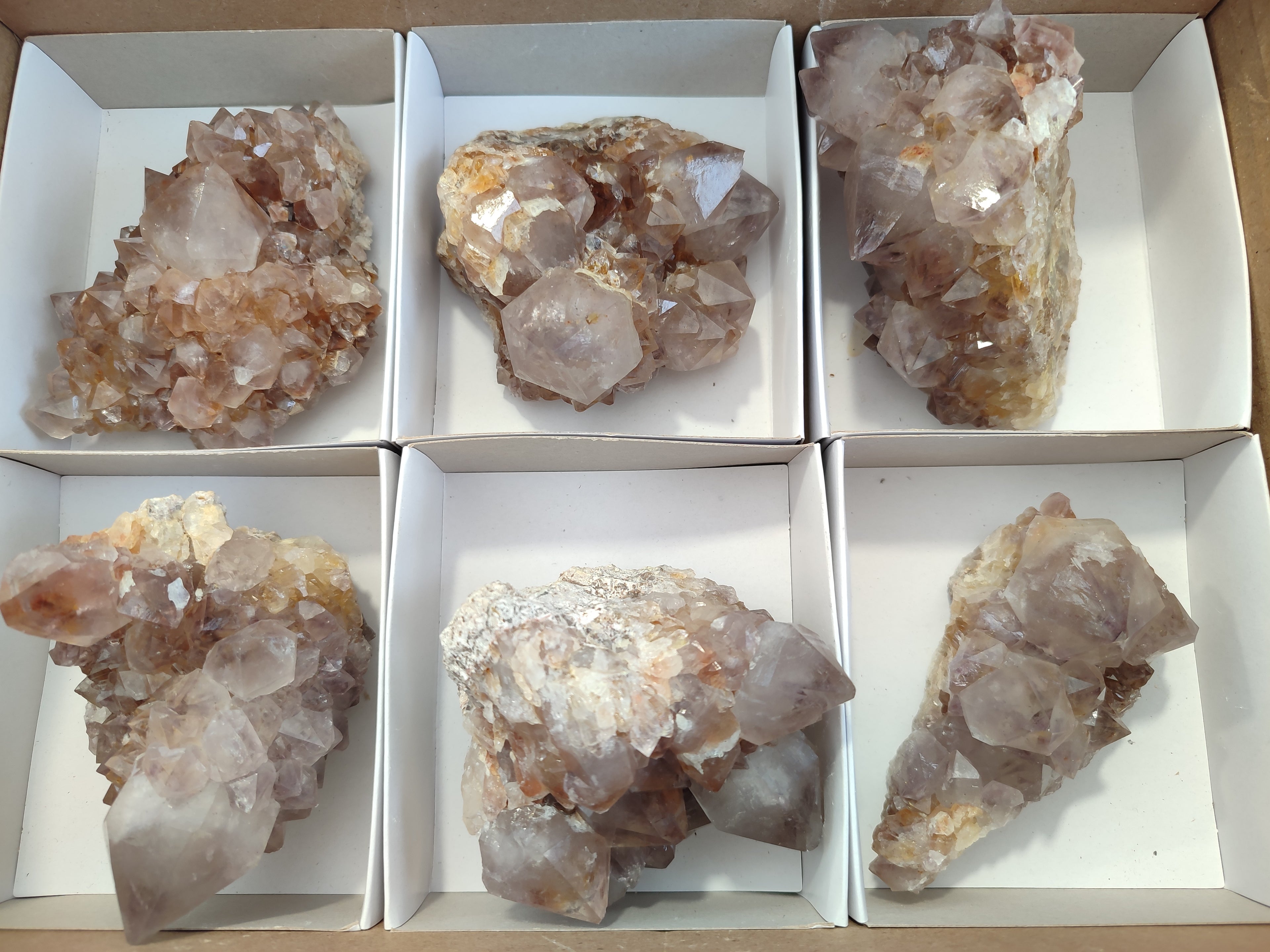 Natural Spirit Quartz Clusters x 6 From Boekenhouthoek, South Africa - Toprock Gemstones and Minerals 