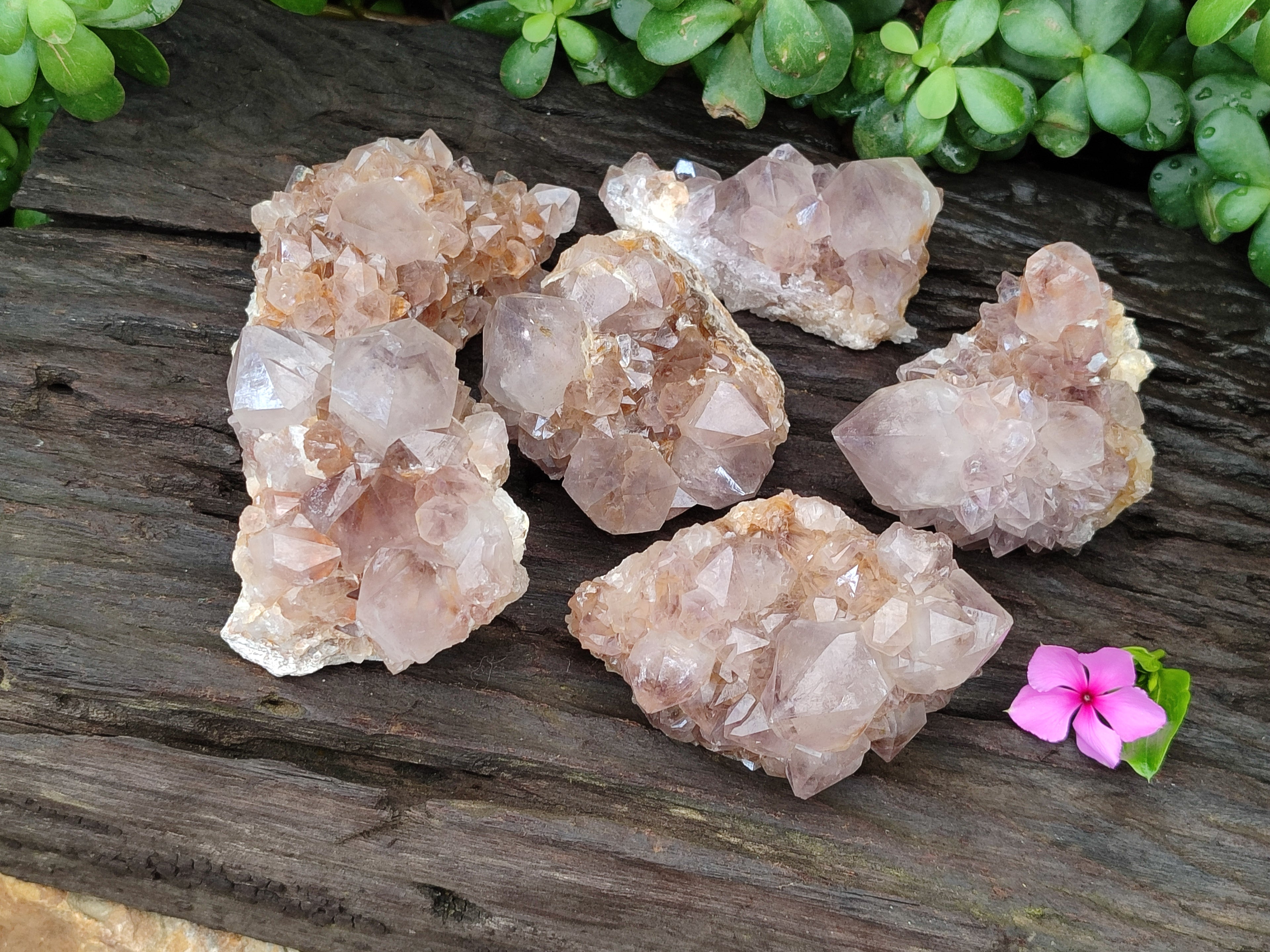 Natural Spirit Quartz Clusters x 6 From Boekenhouthoek, South Africa - Toprock Gemstones and Minerals 