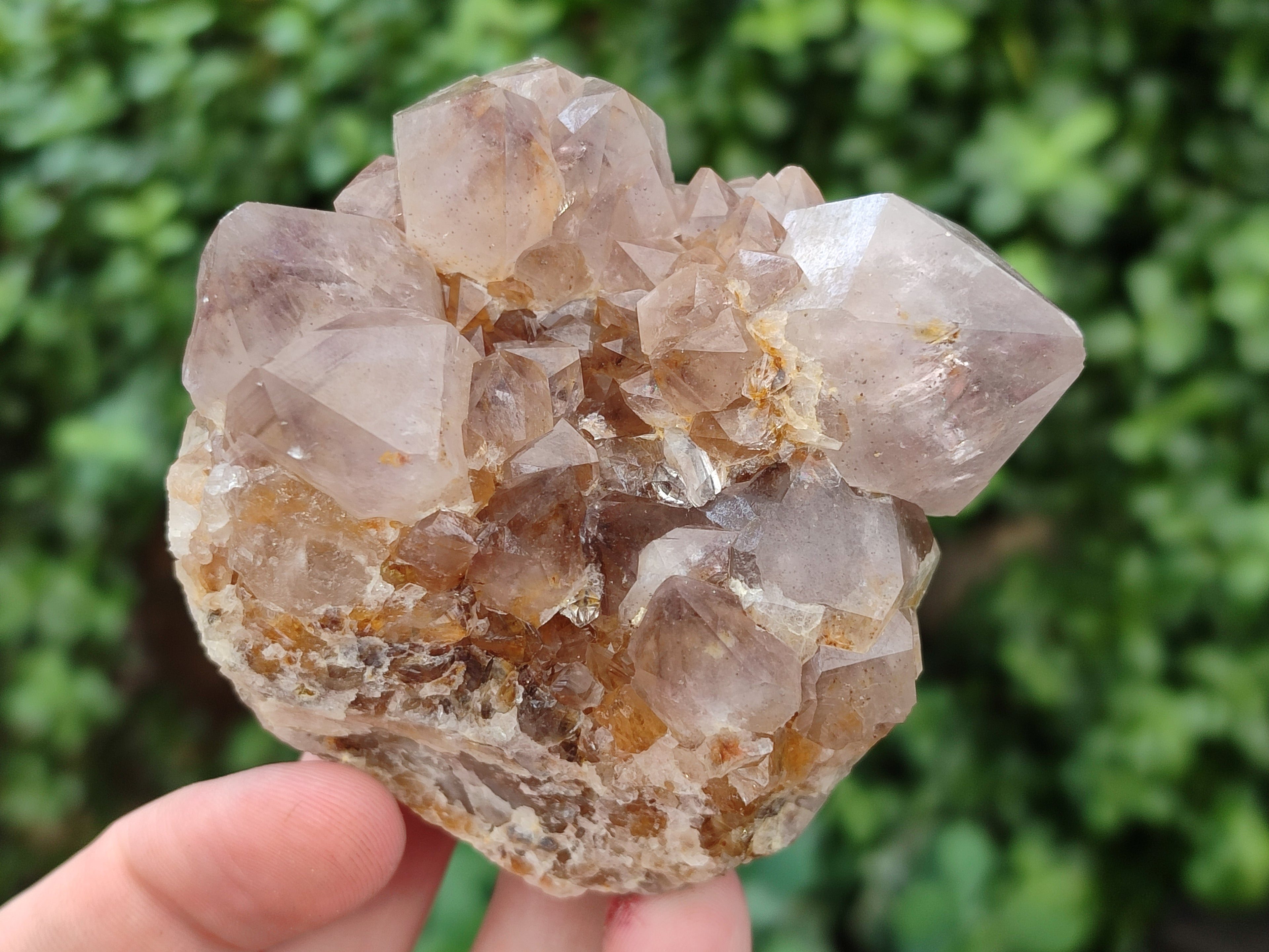 Natural Spirit Quartz Clusters x 6 From Boekenhouthoek, South Africa - Toprock Gemstones and Minerals 