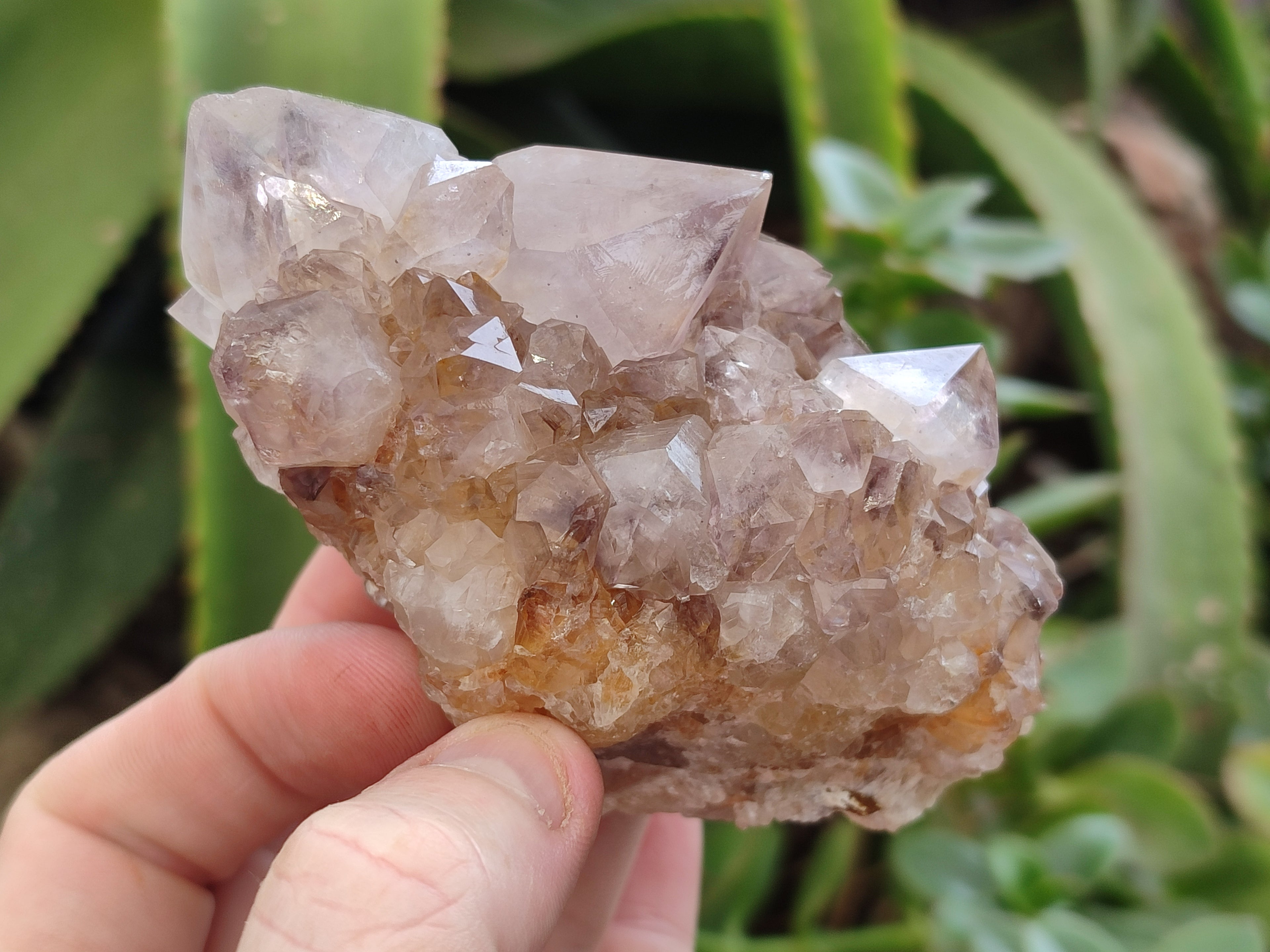Natural Spirit Quartz Clusters x 6 From Boekenhouthoek, South Africa - Toprock Gemstones and Minerals 