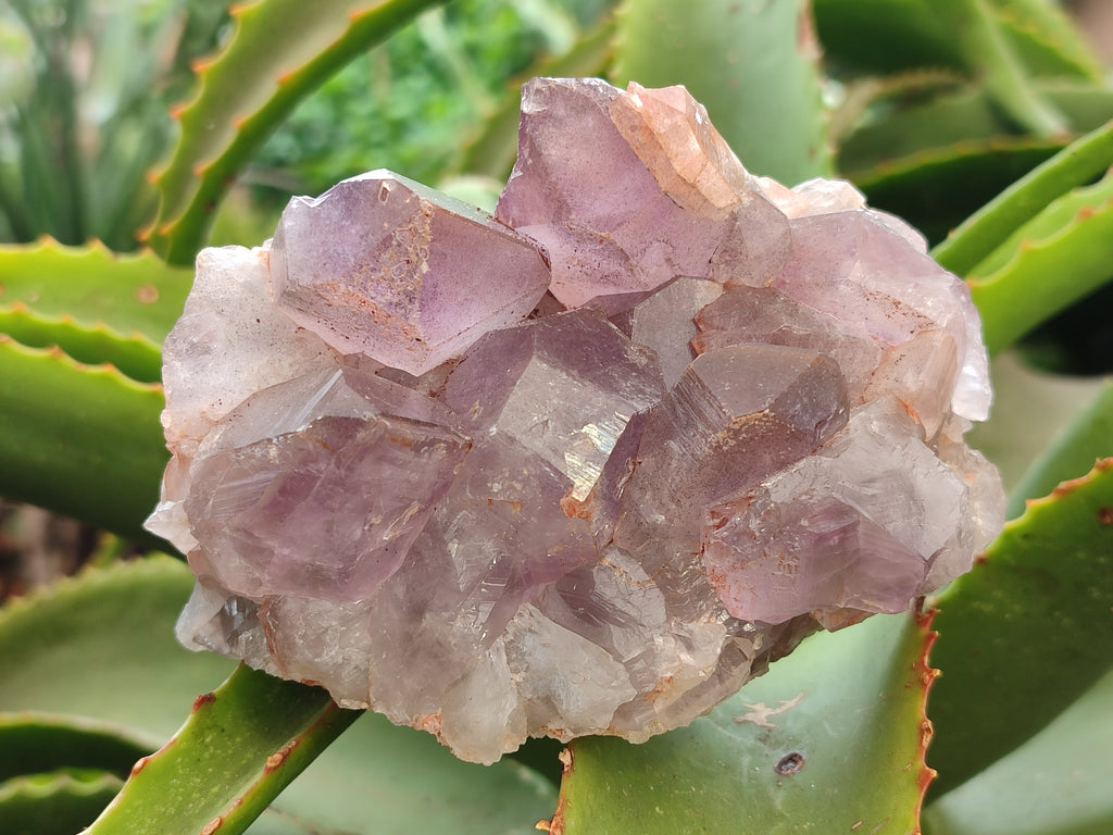 Natural Jacaranda Amethyst Quartz Clusters x 3 from Mumbwa, Zambia - Toprock Gemstones and Minerals 