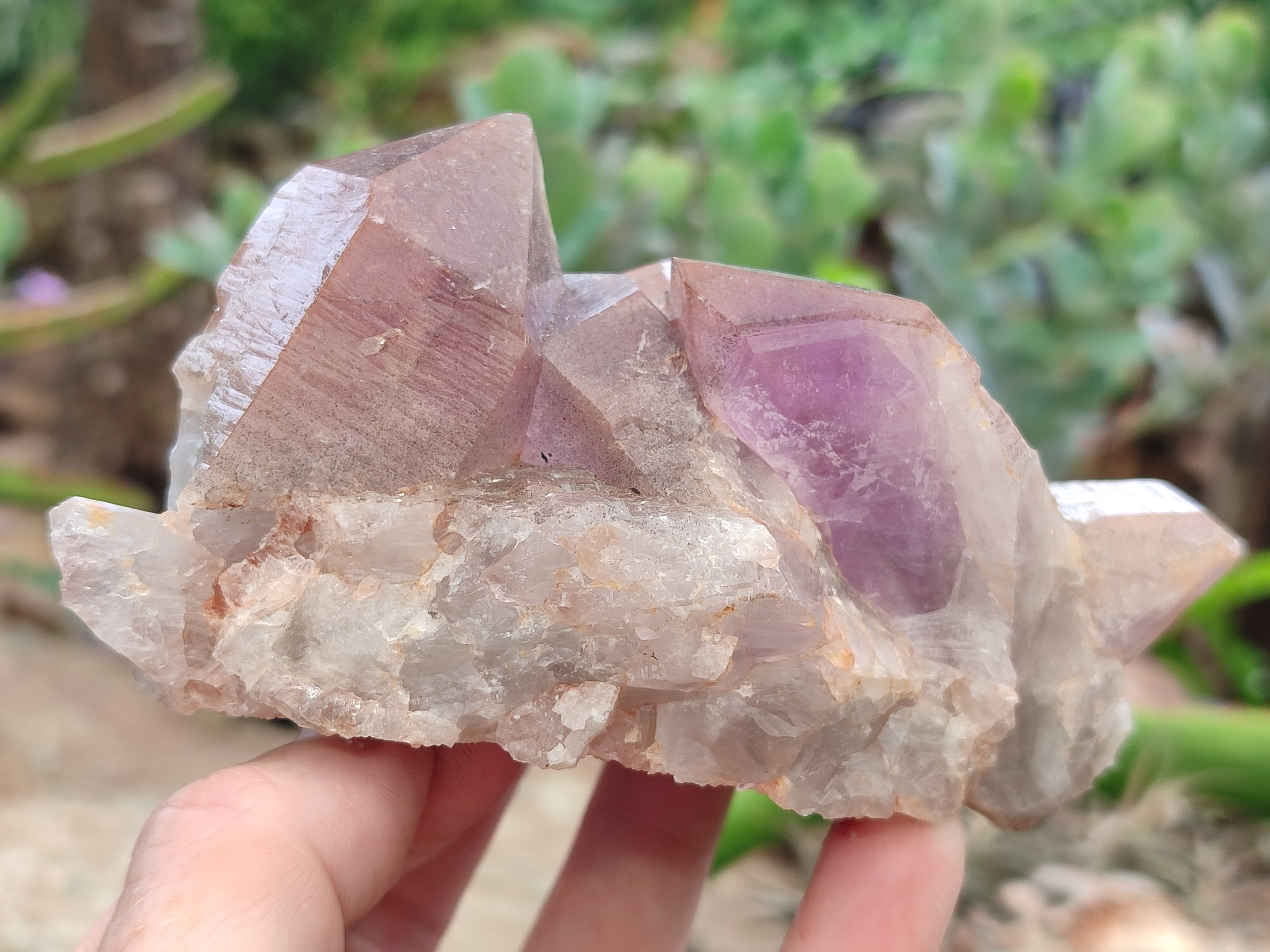 Natural Jacaranda Amethyst Quartz Clusters x 3 from Mumbwa, Zambia - Toprock Gemstones and Minerals 