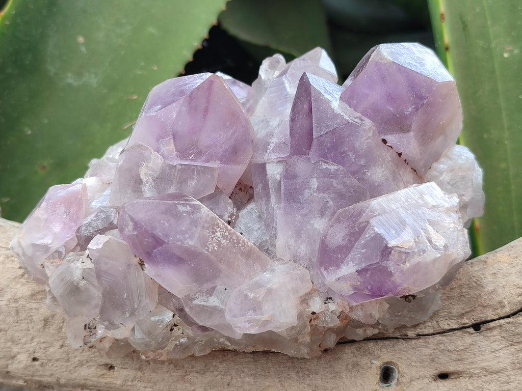 Natural Jacaranda Amethyst Quartz Clusters x 3 from Mumbwa, Zambia - Toprock Gemstones and Minerals 