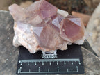 Natural Jacaranda Amethyst Quartz Clusters x 3 from Mumbwa, Zambia - Toprock Gemstones and Minerals 