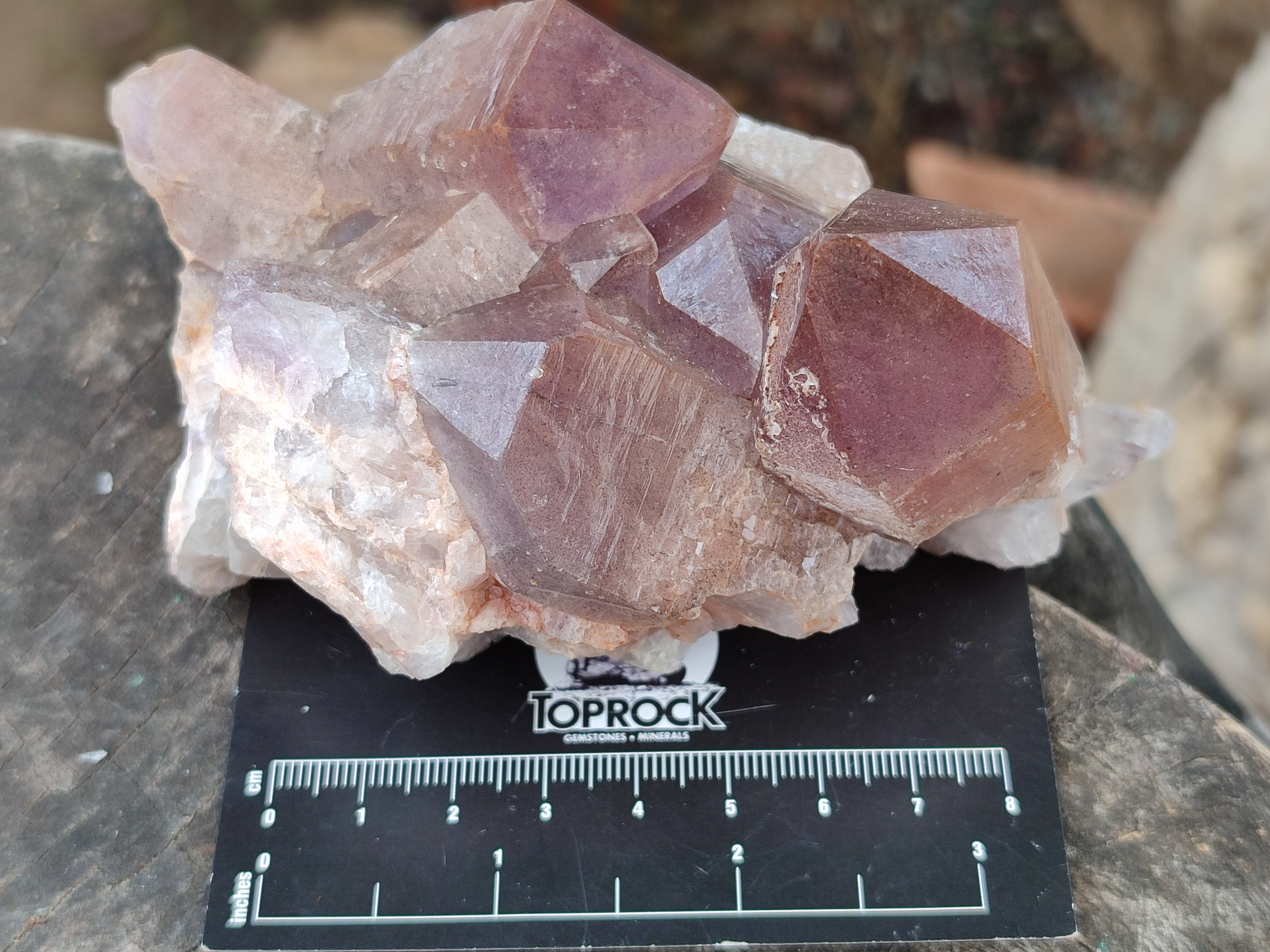 Natural Jacaranda Amethyst Quartz Clusters x 3 from Mumbwa, Zambia - Toprock Gemstones and Minerals 