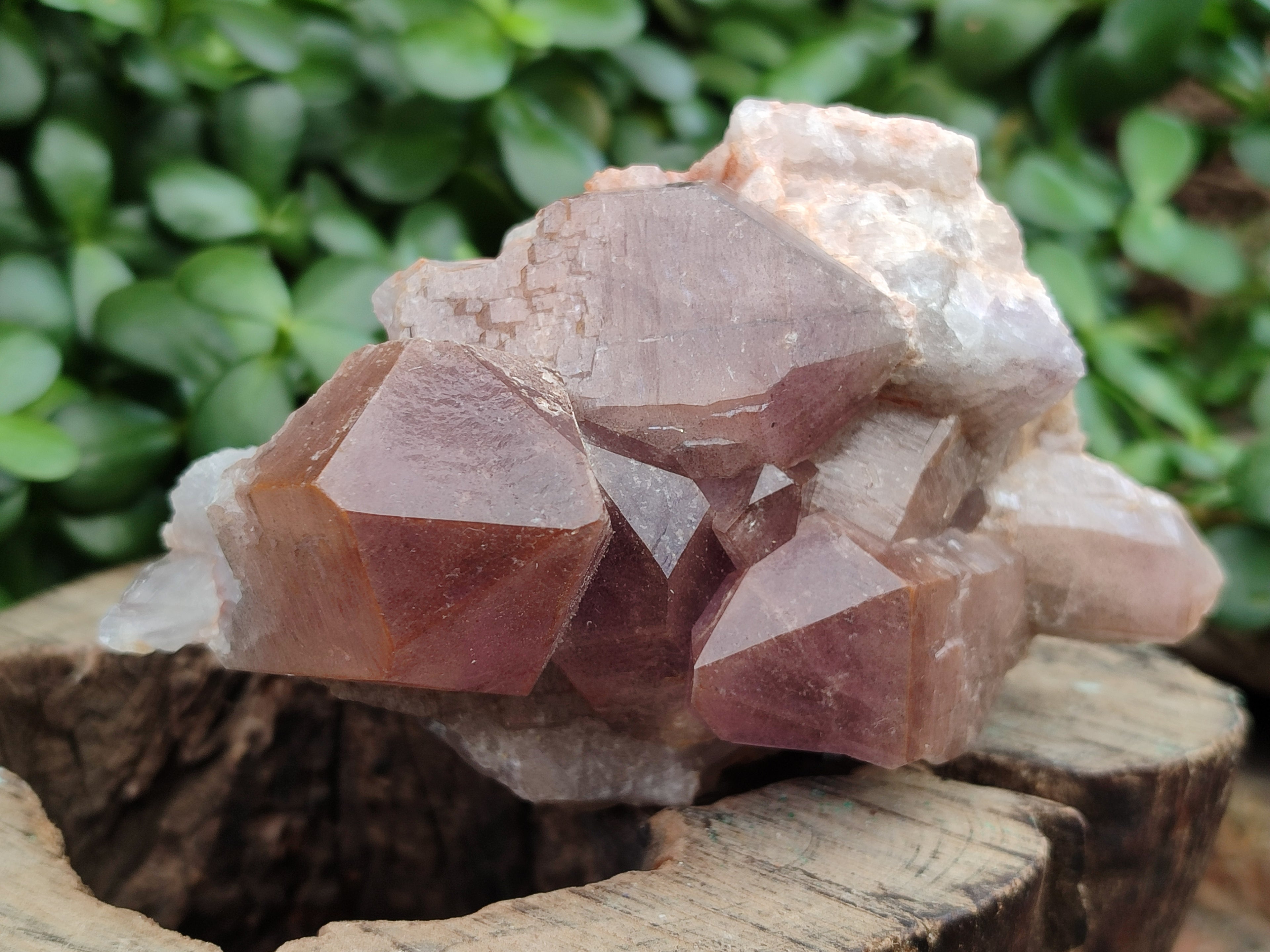 Natural Jacaranda Amethyst Quartz Clusters x 3 from Mumbwa, Zambia - Toprock Gemstones and Minerals 