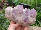Natural Jacaranda Amethyst Quartz Clusters x 3 from Mumbwa, Zambia - Toprock Gemstones and Minerals 
