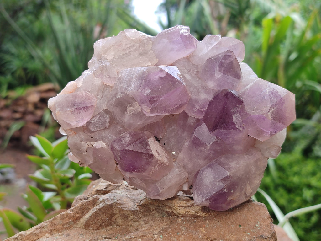 Natural Jacaranda Amethyst Quartz Clusters x 3 from Mumbwa, Zambia - Toprock Gemstones and Minerals 