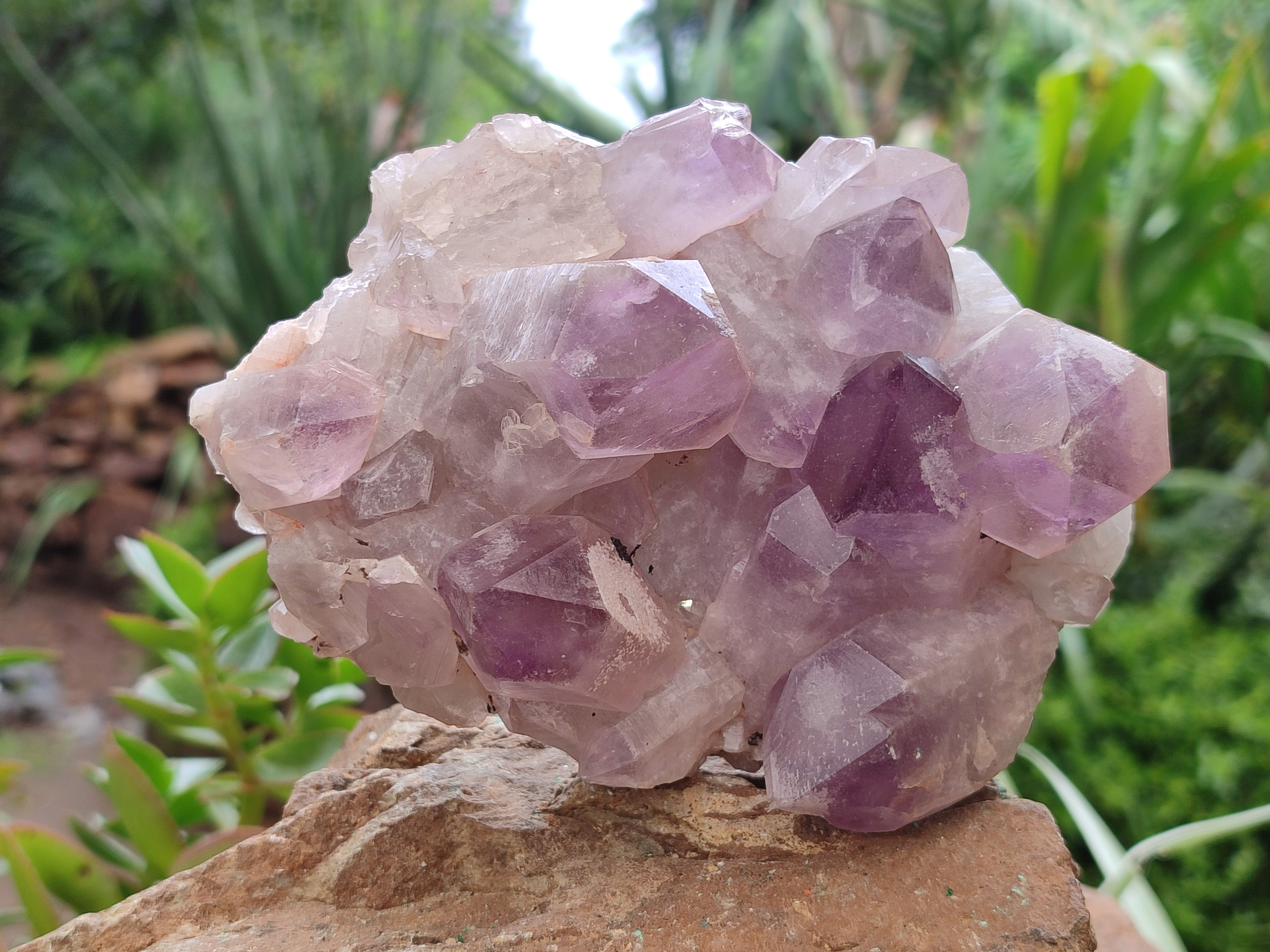 Natural Jacaranda Amethyst Quartz Clusters x 3 from Mumbwa, Zambia - Toprock Gemstones and Minerals 