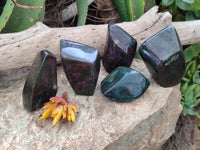Polished Ruby Corundum In Chrome Verdite Standing Free Forms x 5 From Zimbabwe - Toprock Gemstones and Minerals 