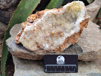 Natural Limonite Quartz Clusters x 2 From Solwezi, Zambia - Toprock Gemstones and Minerals 