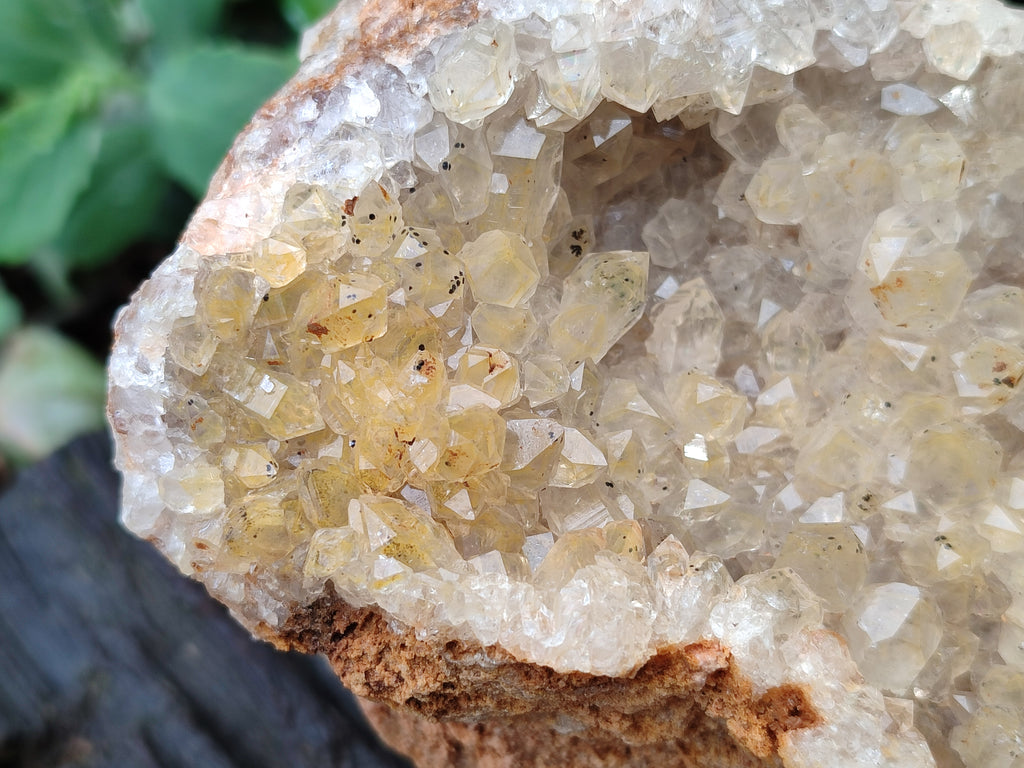 Natural Limonite Quartz Clusters x 2 From Solwezi, Zambia - Toprock Gemstones and Minerals 