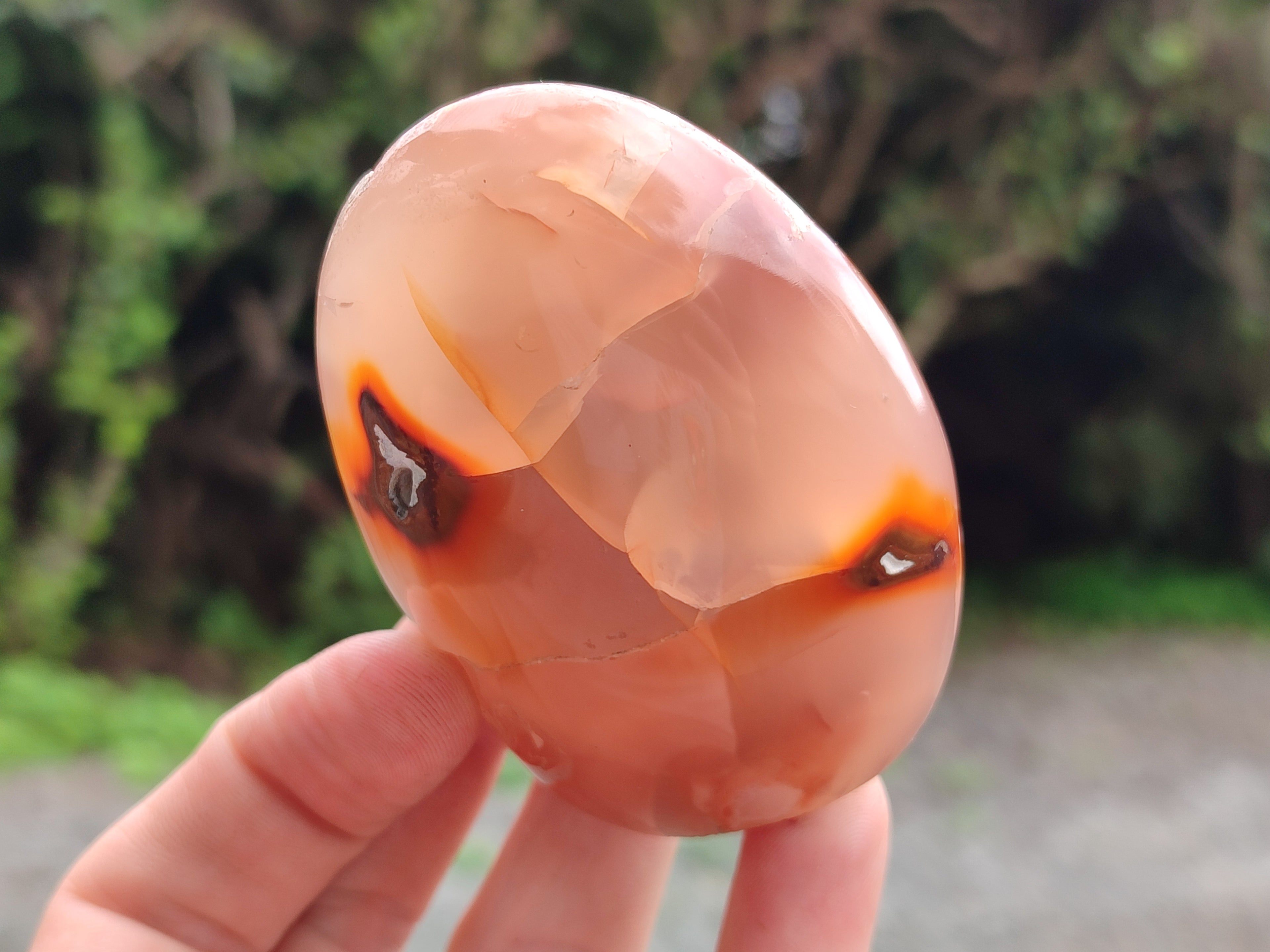 Polished Flower Agate Standing Free Forms x 6 From Antsahalova, Madagascar - Toprock Gemstones and Minerals 