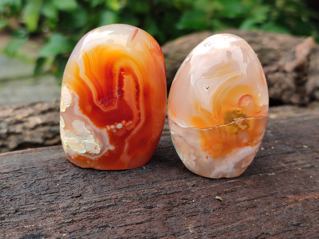 Frreforms Polished Flower Agate Standing Free Forms x 6 From Antsahalova, Madaga ...
