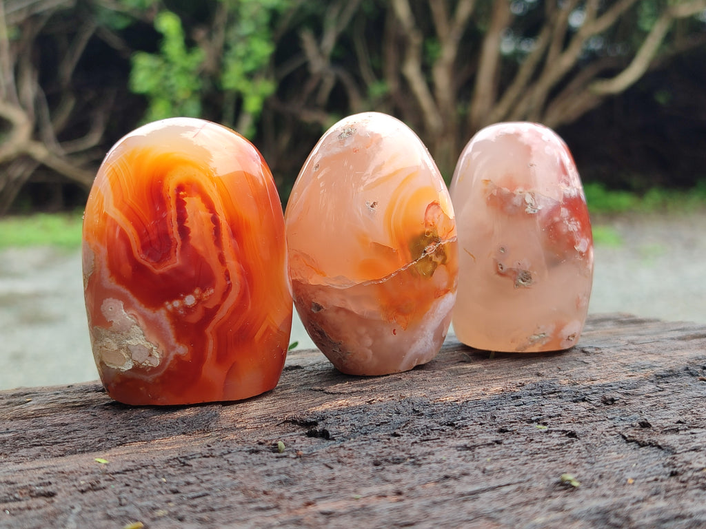 Polished Flower Agate Standing Free Forms x 6 From Antsahalova, Madagascar - Toprock Gemstones and Minerals 