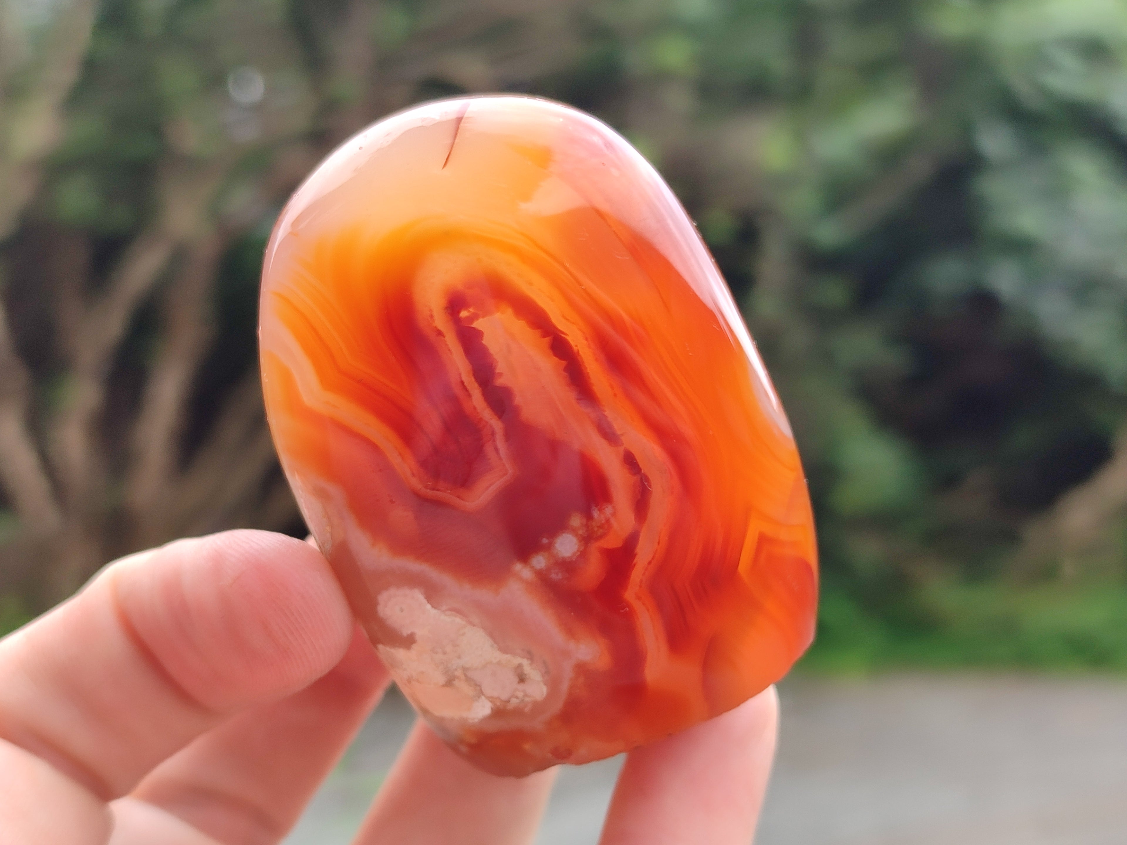 Polished Flower Agate Standing Free Forms x 6 From Antsahalova, Madagascar - Toprock Gemstones and Minerals 