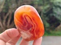 Polished Flower Agate Standing Free Forms x 6 From Antsahalova, Madagascar - Toprock Gemstones and Minerals 