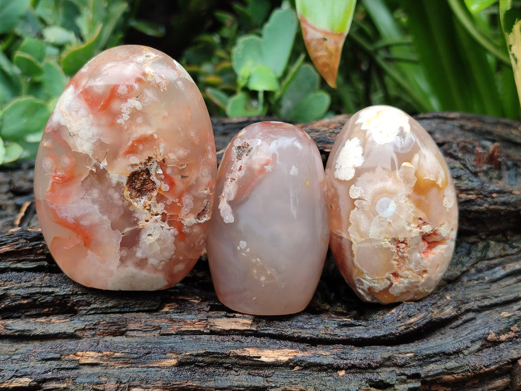 Polished Flower Agate Standing Free Forms x 6 From Antsahalova, Madagascar - Toprock Gemstones and Minerals 